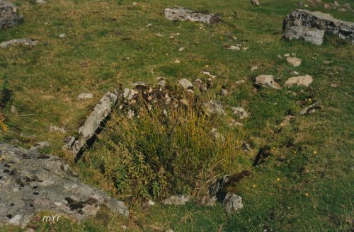 Dolmen Azpegu 1  Urkulu Irati Navarra
