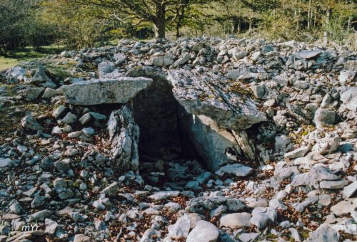 Dolmen Debata Arruazu I Aralar Navarra