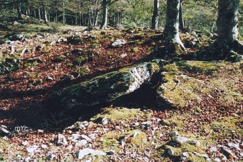 Dolmen Elurmenta 2 F1 Aralar Navarra