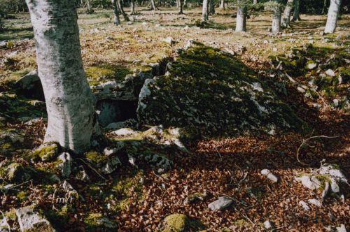 Dolmen Elurmenta 2 F2 Aralar Navarra