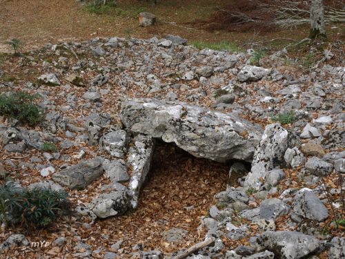 Dolmen Erbilerri Uharte-Araquil Navarra