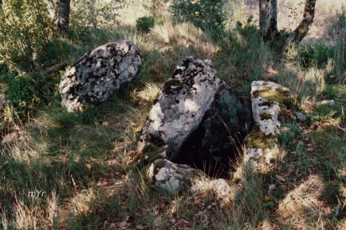 Dolmen Puente de Biguezal Illon Navarra