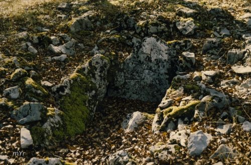 Dolmen Txagadi Aralar Navarra