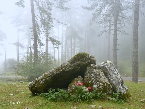Dolmen de Albia Errealengo F2 Sierra de  Aralar Navarra