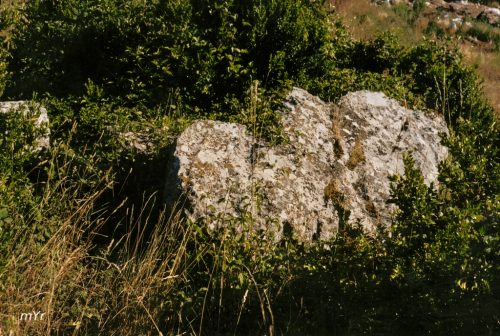 Dolmen de Ardaitz Oiartzabal Larrogain Navarra