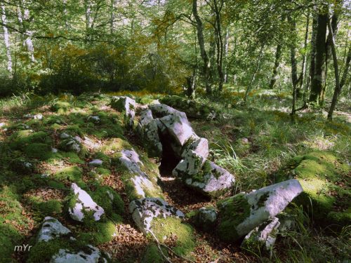 Dolmen de Arrate Berri  Uharte Arakil Navarra