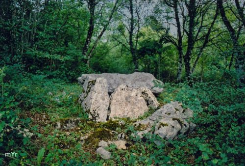 Dolmen de Milaldapa Oderiz Larraun Navarra