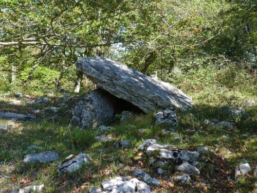 Dolmen de Otsopasaje  Aralar Navarra