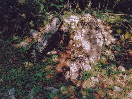 Dolmen de Pikabozt Oderiz Navarra