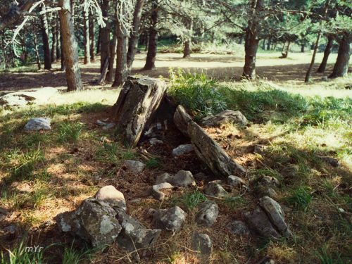 Dolmen de Roizu 1 Belagua Navarra