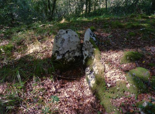 Dolmen de izeinituurri Uharte Arakill Navarra