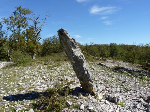 Menhir Mugako Arriya Bretxagaina Urbasa Navarra