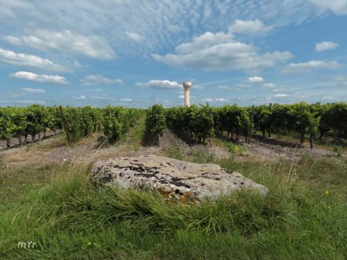 Dolmen  Gros-Caillou Criteuil-la-Magdeleine Cognac Charente Nueva Aquitania