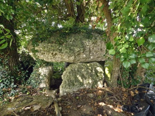 Dolmen La Boucharderie Saint-Estèphe Roullet-Saint-Estèphe Angoulême 	Charente Nueva Aquitania
