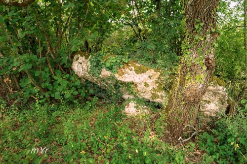Dolmen de Pincanelle Sainte-Sabine-Born Bergerac Dordogne Nueva Aquitania