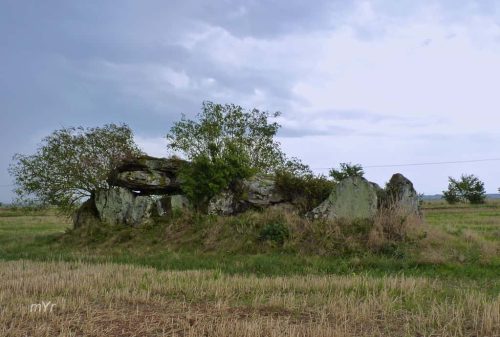 Dolmen de Chantebrault Saint-Laon Chinon Vienne Nueva Aquitania 