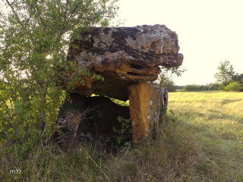 Dolmen de Chez Vinaigre Ronsenac Angoulême Charente Nueva Aquitania 