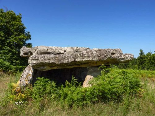 Dolmen-de-Garde-Epée-Saint-Brice-Cognac--Charente Nueva Aquitania