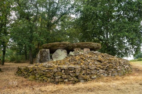 Dolmen de Goudour Folles Bellac Haute-Vienne Nueva Aquitania