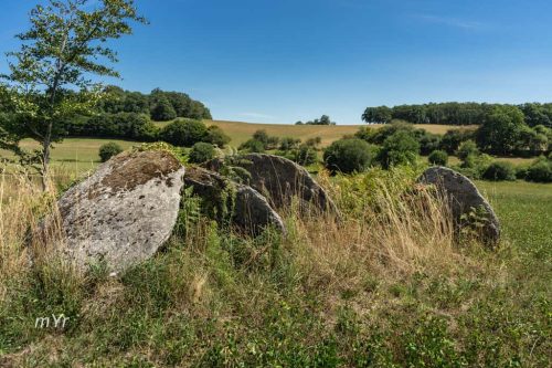 Dolmen de Grand Malibard Bachellerie Saint-Maurice-la-Souterraine Bellac Creuse Nueva Aquitania 