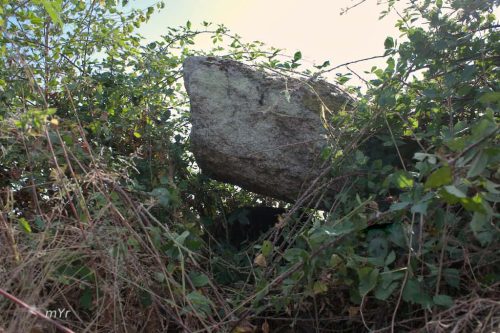 Dolmen de Monteil F2 Folles Bellac Haute-Vienne Nueva Aquitania