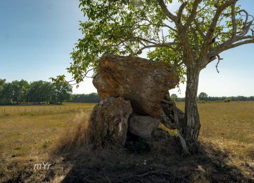 Dolmen de Peyre Nègre Beaumont-du-Périgord Bergerac Dordogne  Nueva Aquitania