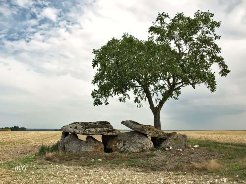 Dolmen de Vaon Trois-Moutiers Chinon Vienne Nueva Aquitania