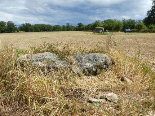 Dolmen de la Betoulle A Berneuil Bellac Haute-Vienne Nueva Aquitania