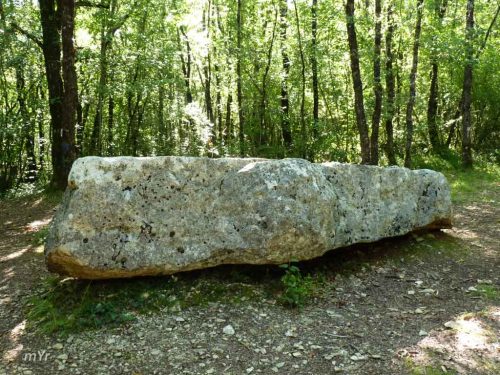 Dolmen de la Boixe Pierre-du-sacrifice celettes Charente Nueva Aquitania
