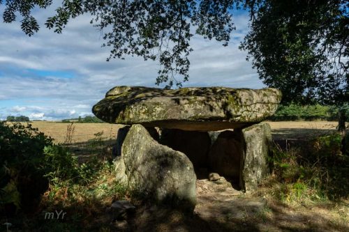 Dolmen de la Borderie Berneuil Bellac Haute-Vienne Nueva Aquitania