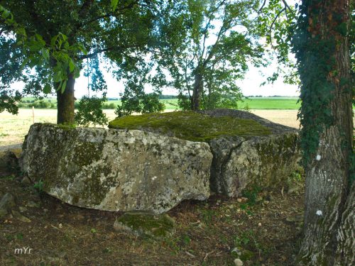 Dolmen-de-la-Maison-de-la-Vieille F1 Luxé-Angoulême-Charente Nueva Aquitania