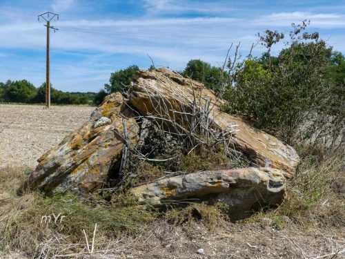 Dolmen de la Pallu Blaslay Poitiers Vienne Nueva Aquitania