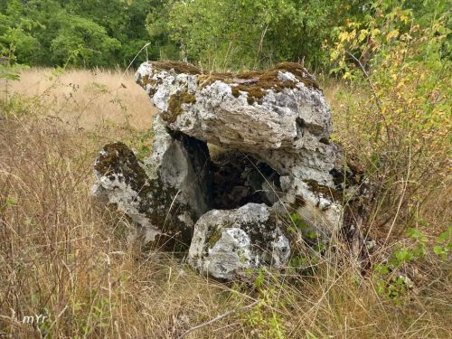 Dolmen de la Peyrelevade Rampieux Bergerac Dordogne Nueva Aquitania