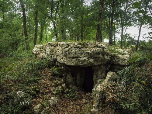 Dolmen de la Pièce Grande A Chenon Angoulême Charent Nueva Aquitania