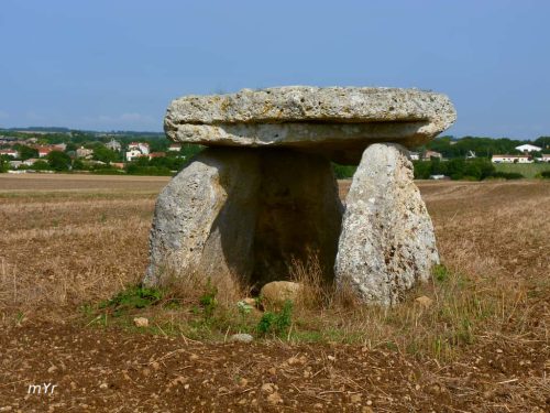 Dolmen de la Pierre-Levée Ardillières Rochefort Charente-Maritime Nueva Aquitania