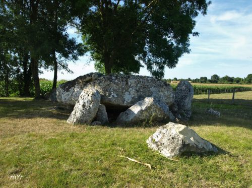 Dolmen de la Pierre-Levée Vallée Rochefort Charente-Maritime Nueva Aquitania