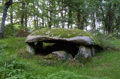 Dolmen des Bras Saint-Sulpice-les-Feuilles  Bellac Haute-Vienne Nueva Aquitania