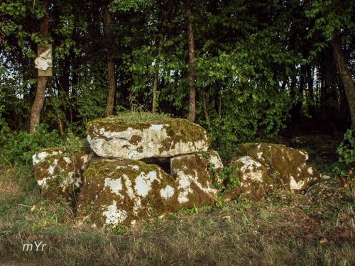 Dolmen-des-Grouges--Saint-Ciers-sur-Bonnieure-Angoulême-Charente
