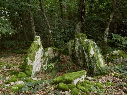 Dolmen des Quatre Routes Marsac Guéret Creuse Nueva Aquitania
