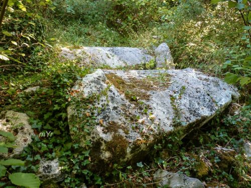 Dolmen du Bois de la Grosse Pierre Sainte-Radegonde Rochefort Charente-Maritime Nueva Aquitania