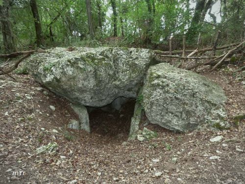 Dolmen la Motte de la Garde Luxé Angoulême Charente Nueva Aquitania