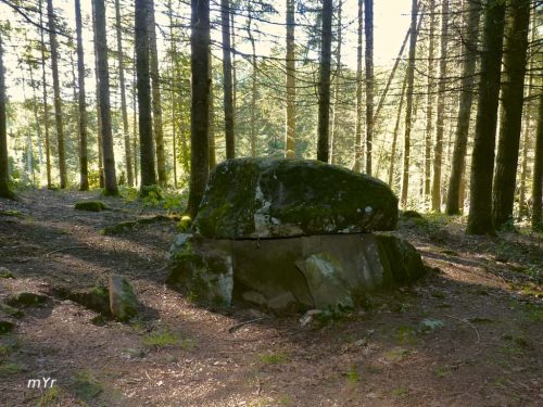 Dolmen  le Four des Fades Mourioux-Vieilleville Guéret Creuse Nueva Aquitania
