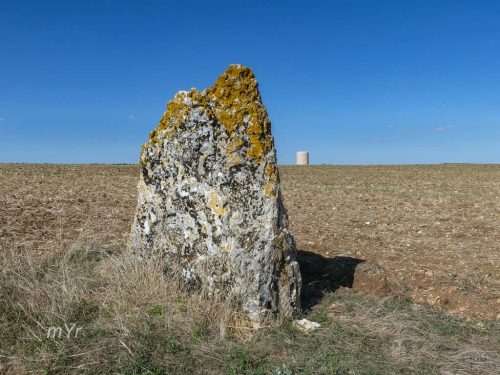 Menhir  Grosse Pierre Roumaud  Vouillé Poitiers Vienne Nueva Aquitania