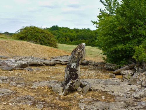 Menhir Notre Dame de Bonne Nouvelle Blasimon Libourne Gironde   Nueva Aquitania
