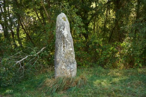 Menhir d Arnac Cieux Bellac Haute-Vienne Nueva Aquitania 