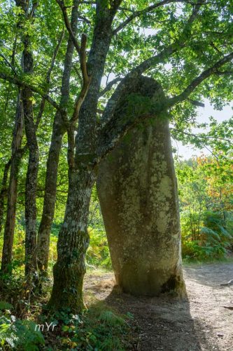 Menhir de Ceinturat Cieux Bellac Haute-Vienne Nueva Aquitania 