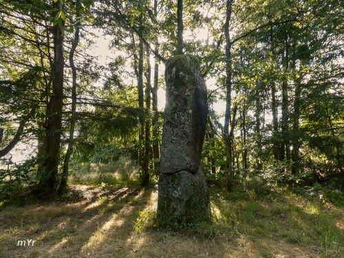 Menhir du Pic Javerdat Bellac 	Haute-Vienne Nueva Aquitania