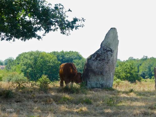 Menhir du Gâtineau Séreilhac Rochechouart Haute-Vienne Nueva Aquitania