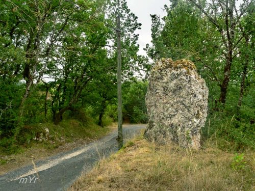 Menhir le Caillou de Monjerma Boisse Bergerac Dordogne Nueva Aquitania
