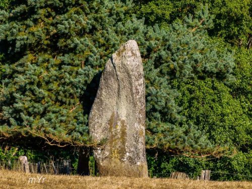 Menhirs du Metayer Saint-Paul Limoges Haute-Vienne Nueva Aquitania;